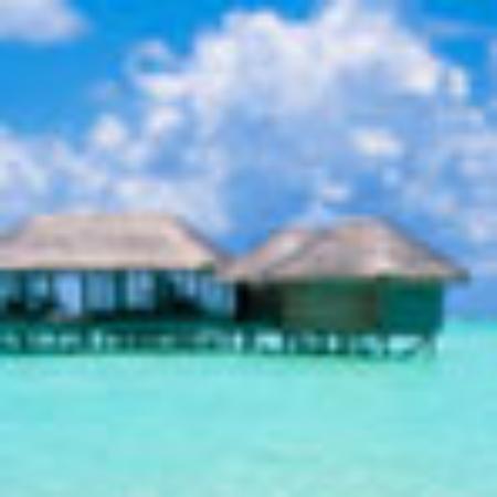 Tony's Pizza Pasta Cafe